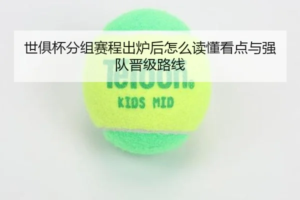 img_1780731246482_410_1_981.jpg